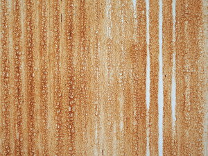 Rust wall