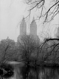 The El Dorado on NYC's Central Park West​