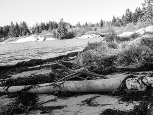 After the Storm​​​​​​​​​​