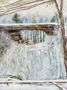 Kentucky's Natural Bridge in the Winter