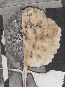 Hydrangea Cross-Section