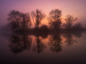 A Time for Reflection​