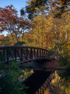 Autumn's Bridge