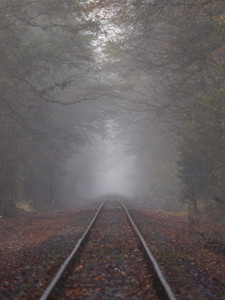 Foggy Railroad