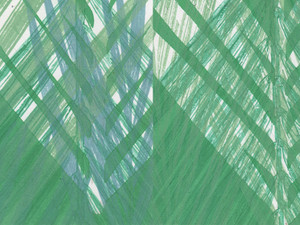 Palm Sunday