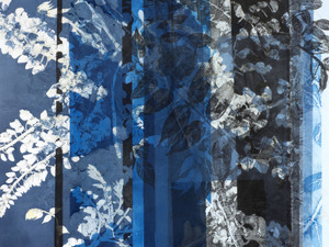 Wisteria​​