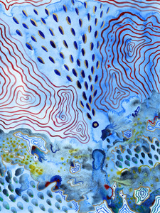 Caribbean Coral Reef