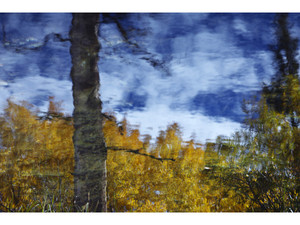 Lundy Reflections​​