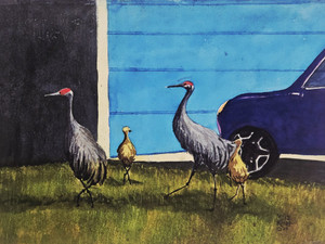 Sandhill Crane Family