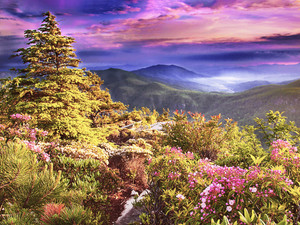 Hawksbill Summit Evening Glow