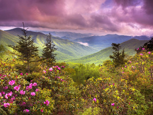 Asheville Reservoir Sunset Bloom
