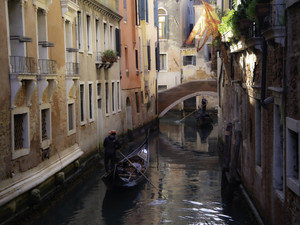 Heart of Venice​