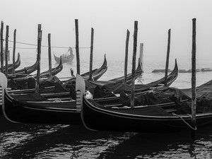 Foggy Gondolas