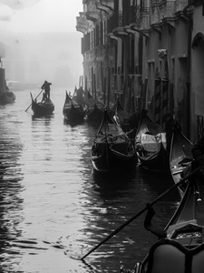 Foggy morning commute in Venice