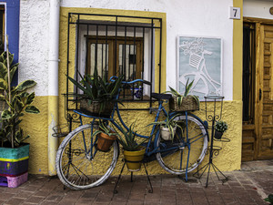 Bicycle Plant Stand in Spain
