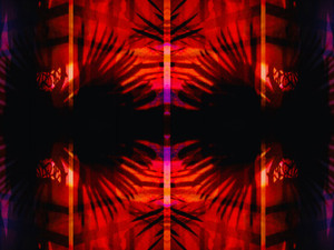 Altos Sunset Shadows II