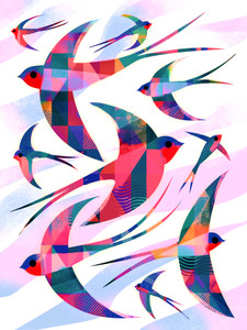 Swallows​​​
