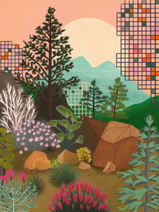 Mountain Vision 2