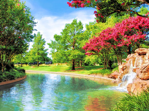 OKC Bricktown Canal Waterfall & Crape Myrtles