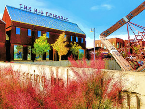 OKC "The Big Friendly" Wheeler District