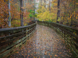 High Point Fall