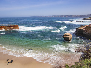 Children's Pool in La Jolla with Seals