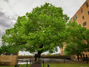 OKC Memorial 69