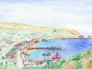 Avalon Bay Catalina Island