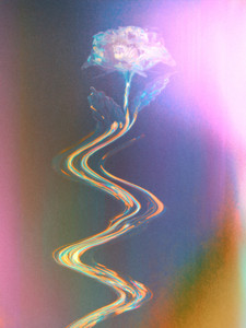Floral Majesty​
