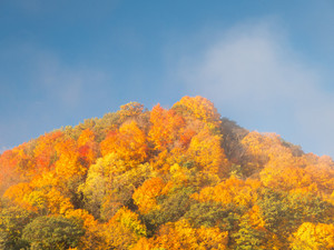 Autumn Hill​