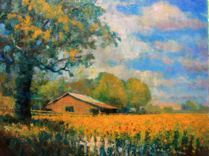 Sunflower Farm​​​