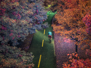 Autumn Infrared