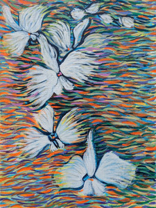 Floating Orchids