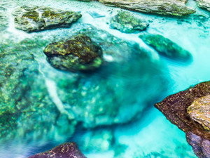 Emerald Waters​