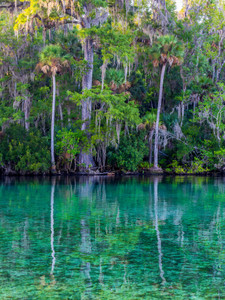 Emerald Reflections at Silver Glen Springs