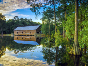 Covered Bridge George L. Smith State Park