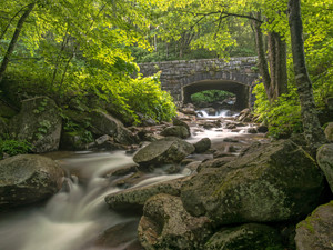 Smoky Mountain Bridge