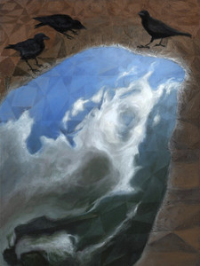 Crows around a sidewalk puddle, cloud reflection