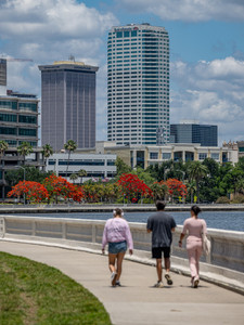 a stroll along bayshore tampa