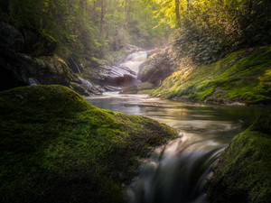Hidden Oasis​