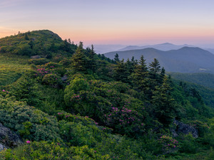 Rhodo Central