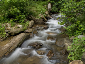 Amicalola Creek