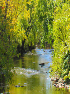 Babbling Brook Metal Print
