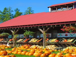 Farmers Market Metal Print