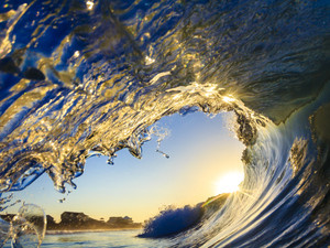 Rise N Shine