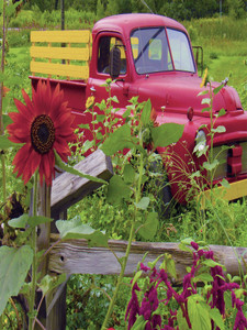 Little Red Truck Metal Print