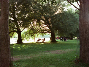 A Bench in Toronto Island
