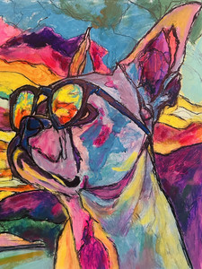 Cool dog
