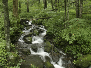 Double Culvert Creek - 2