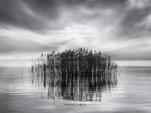 Mist Upon the Lake